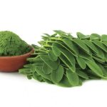 Daun Kelor (Moringa oleifera)