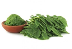 Daun Kelor (Moringa oleifera)