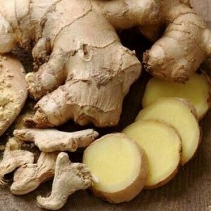 obat kembung dewasa