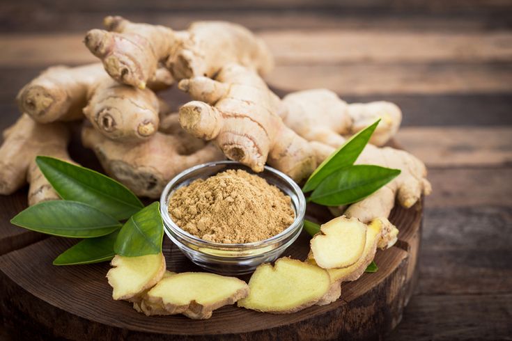obat herbal asam lambung