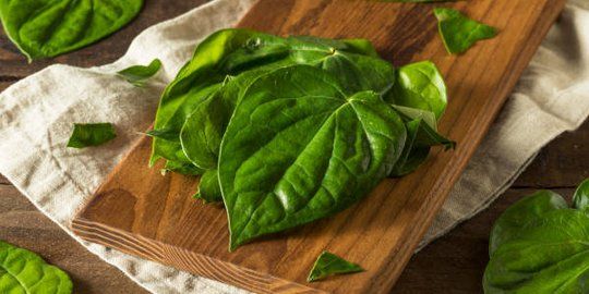 obat herbal keputihan