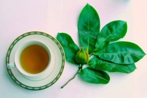 obat asam urat tradisional dan pantangannya