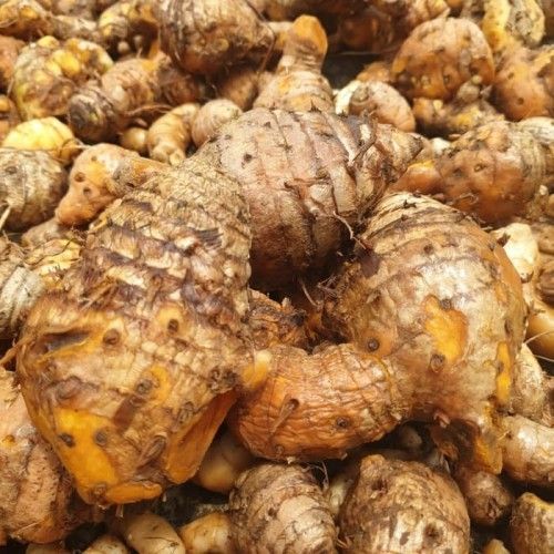 Jamu Pelangsing