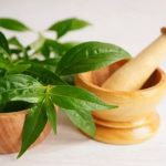 obat amandel herbal