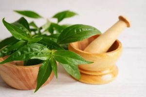 obat amandel herbal