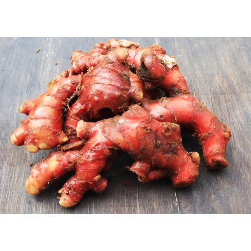 obat batuk berdahak herbal