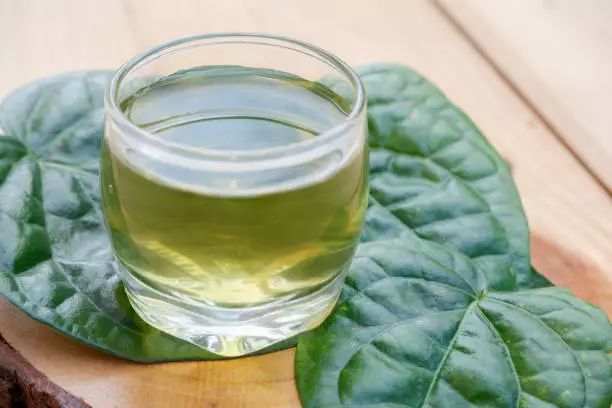 obat gatal tradisional yang diminum