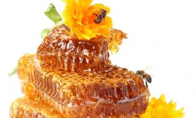 obat herbal untuk batuk kering