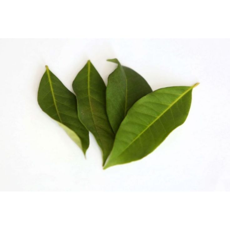 obat kolesterol tradisional