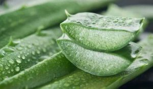 obat koreng di kaki
