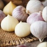 obat penurun tensi alami