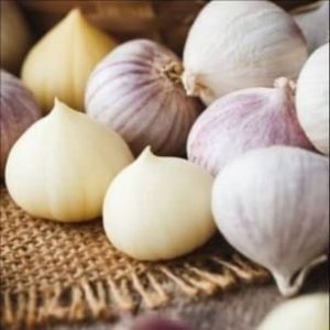 obat penurun tensi alami