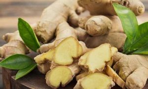 obat perut kembung masuk angin
