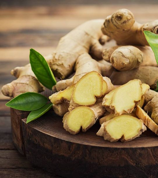 obat tradisional batuk