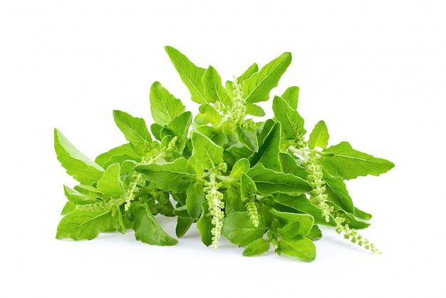 obat tradisional jantung berdebar