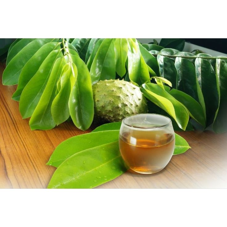pengobatan asam urat