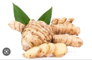 Obat Gemuk Alami dari Tumbuhan