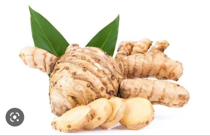 Obat Gemuk Alami dari Tumbuhan