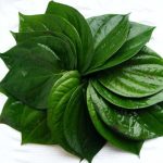 Obat Tradisional Keputihan: Solusi Alami yang Aman dan Efektif