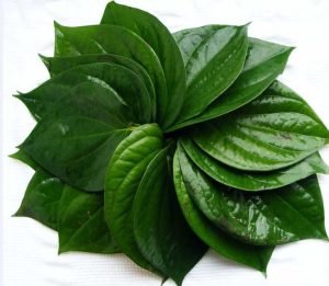 Obat Tradisional Keputihan: Solusi Alami yang Aman dan Efektif
