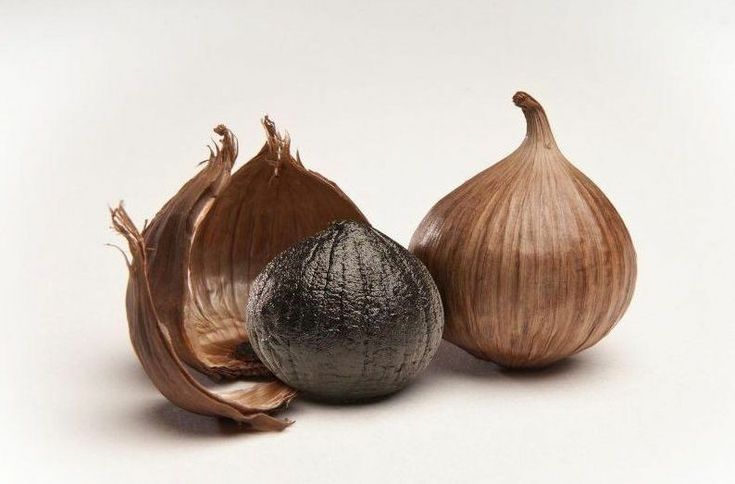 obat alami untuk kolesterol