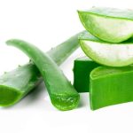 obat bab berdarah alami