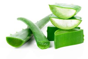 obat bab berdarah alami