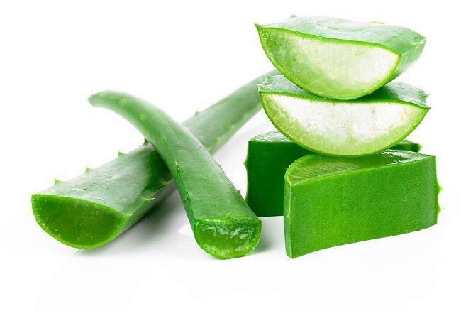 obat bab berdarah alami