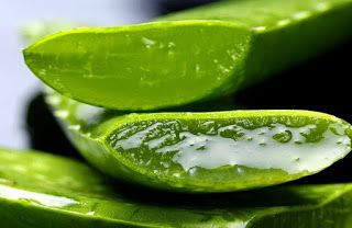 obat gatal tradisional paling ampuh