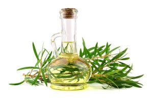 obat pegal pegal yang ampuh
