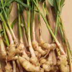 Obat Sakit Perut Alami