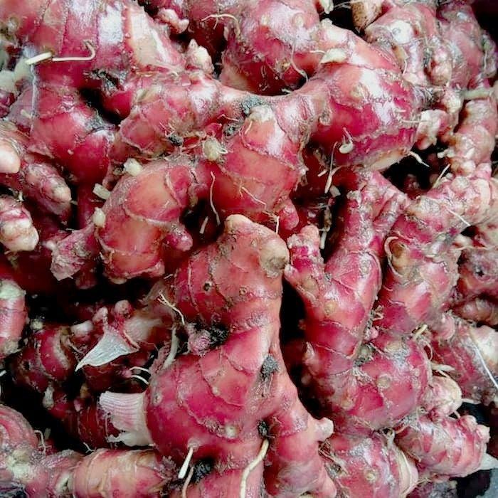 jamu stamina pria