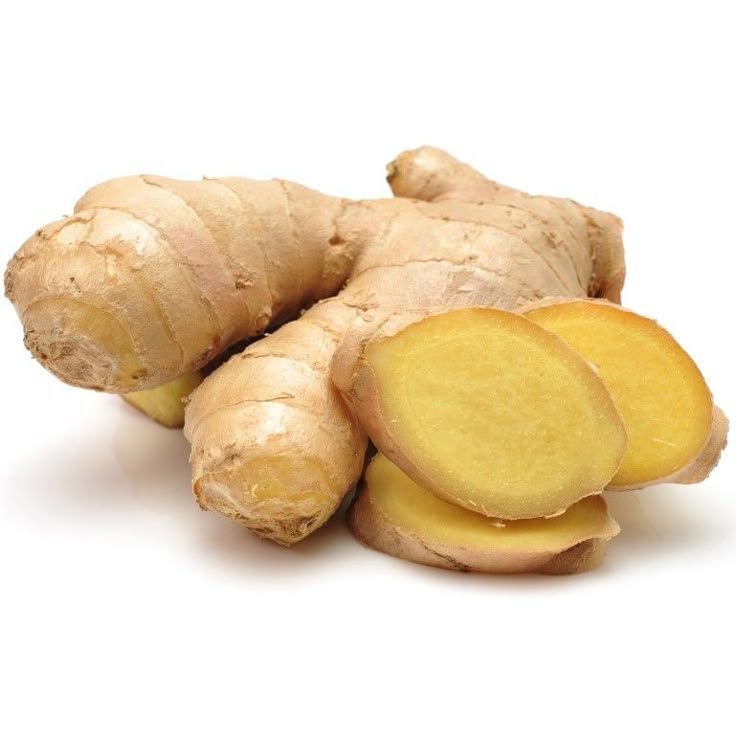 obat kembung herbal