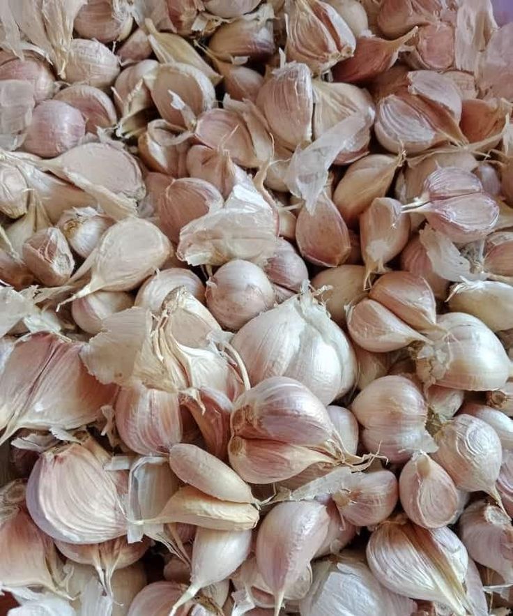 obat kurap paling ampuh alami