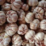 cara menghilangkan benjolan di ketiak secara tradisional
