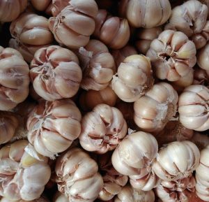 cara menghilangkan benjolan di ketiak secara tradisional
