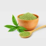 obat bersih darah